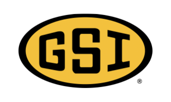 gsi logo
